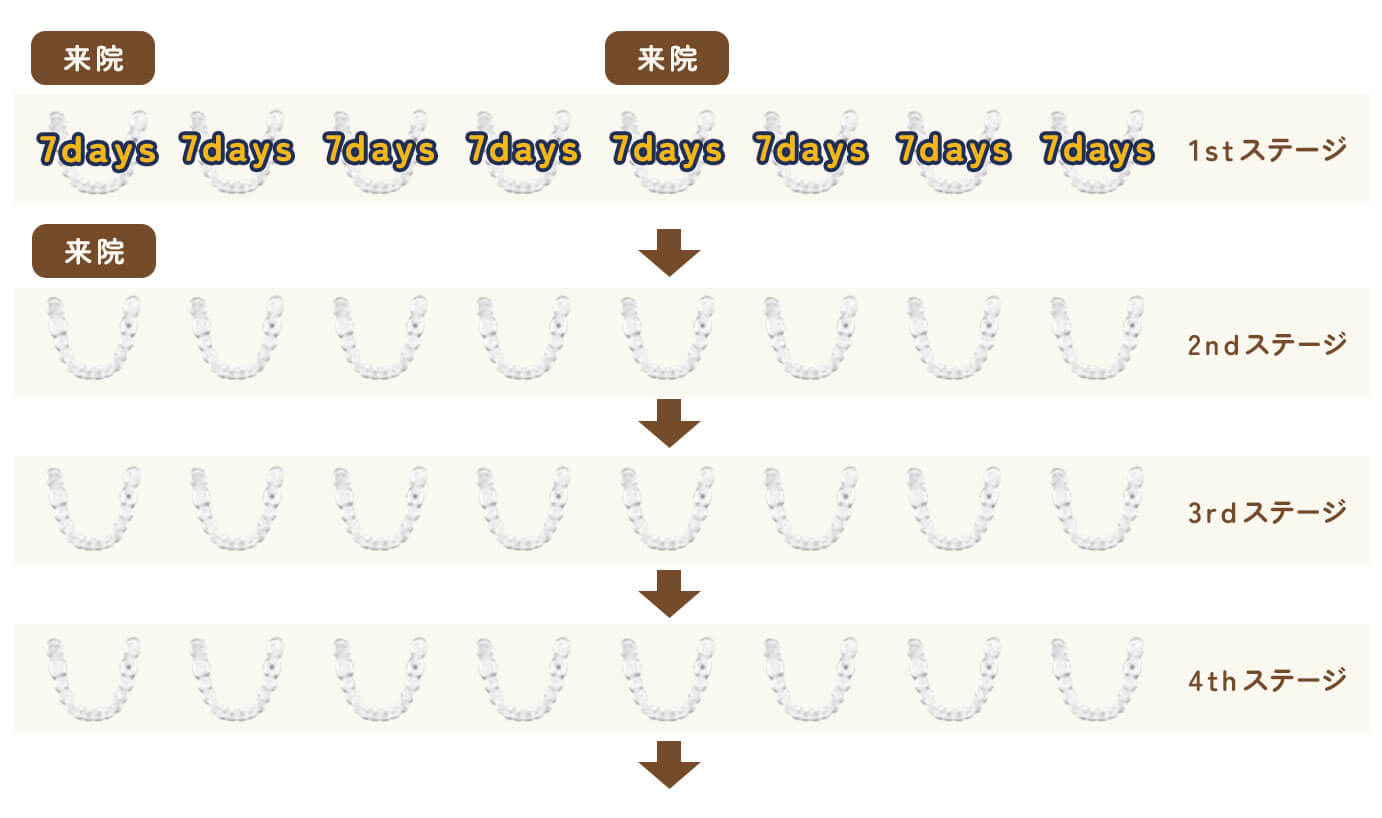 来院スケジュール